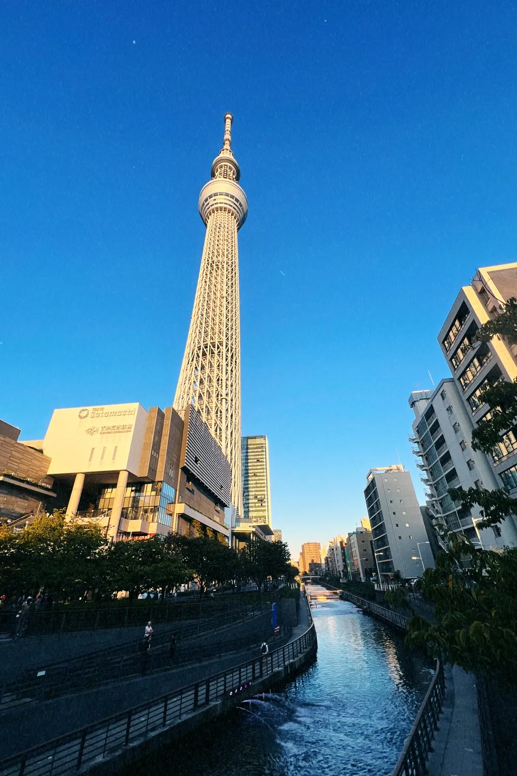 夕陽落下的晴空塔