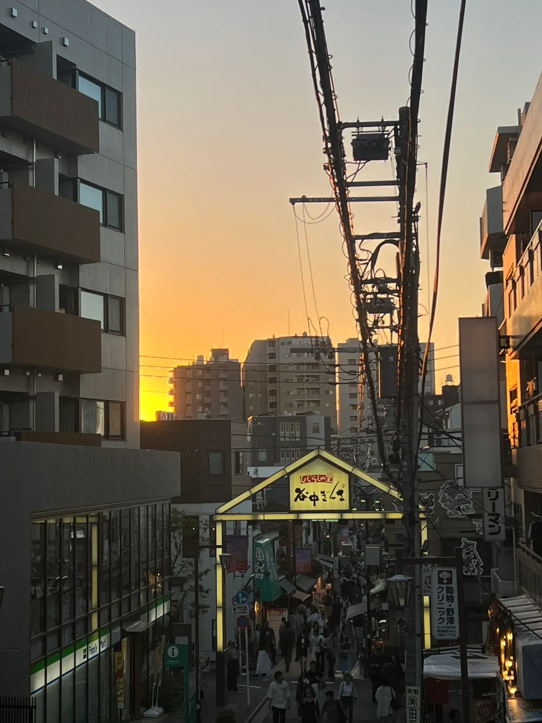夕陽階梯