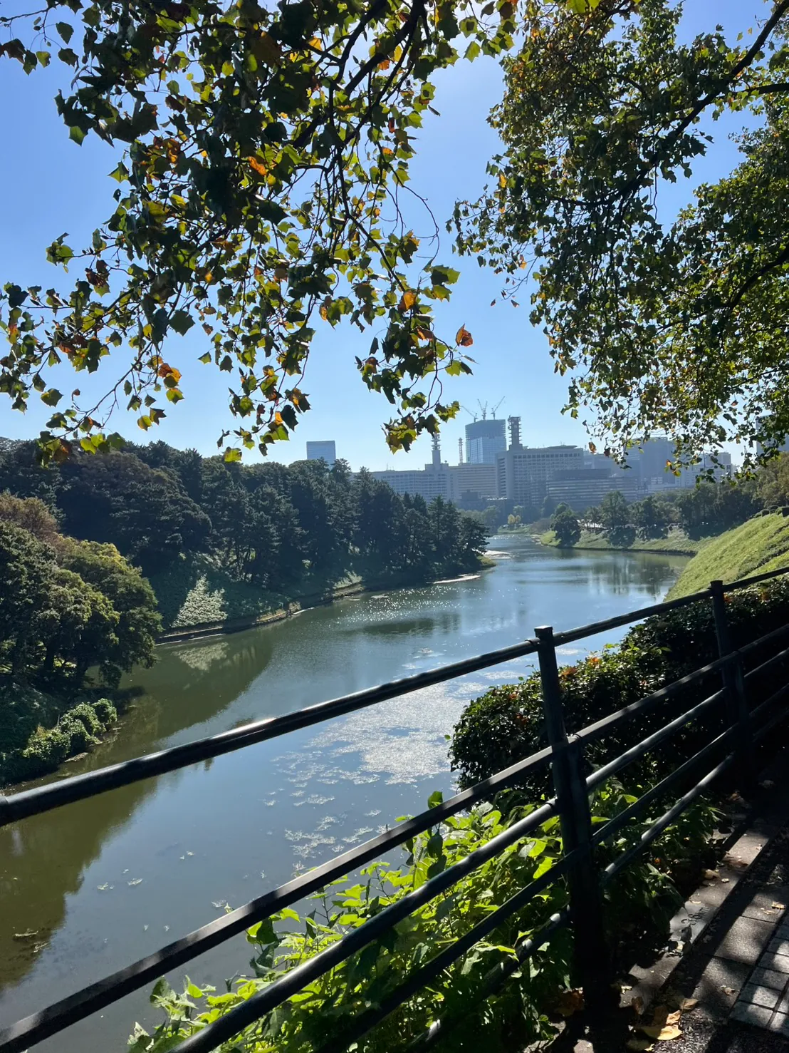 跑步的風景 2