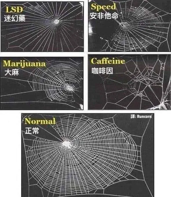 咖啡因對人的思考影響